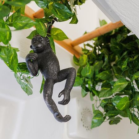 Dimora Lavinia Casa Vacanze Centro Storico Ostuni Εξωτερικό φωτογραφία