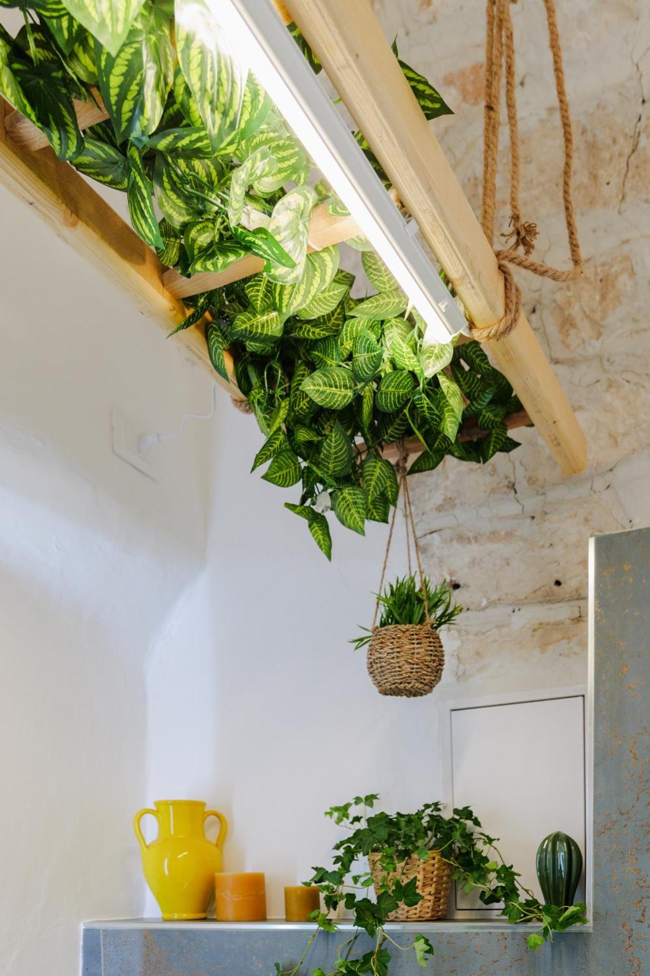 Dimora Lavinia Casa Vacanze Centro Storico Ostuni Εξωτερικό φωτογραφία